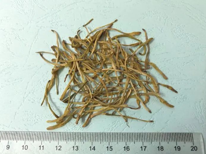 清热解毒金银花,夏天养生少不了它(图6) 图片