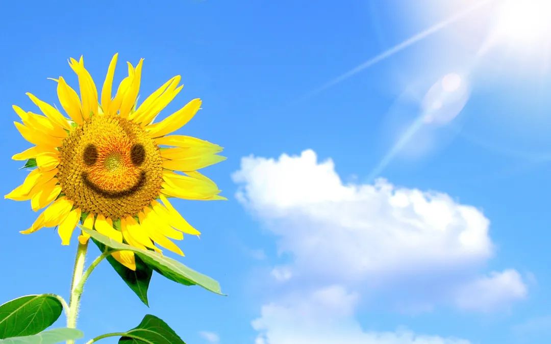 积极防疫,提高免疫力,这些要点多注意(图11) 图片